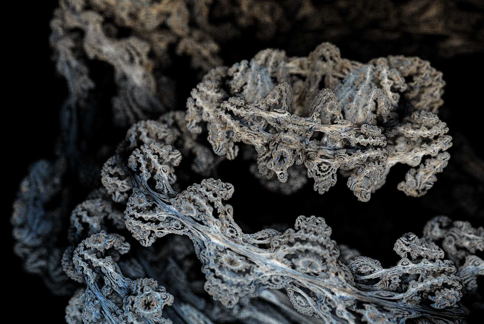 Close-up of the Juliabulb's middle ring.