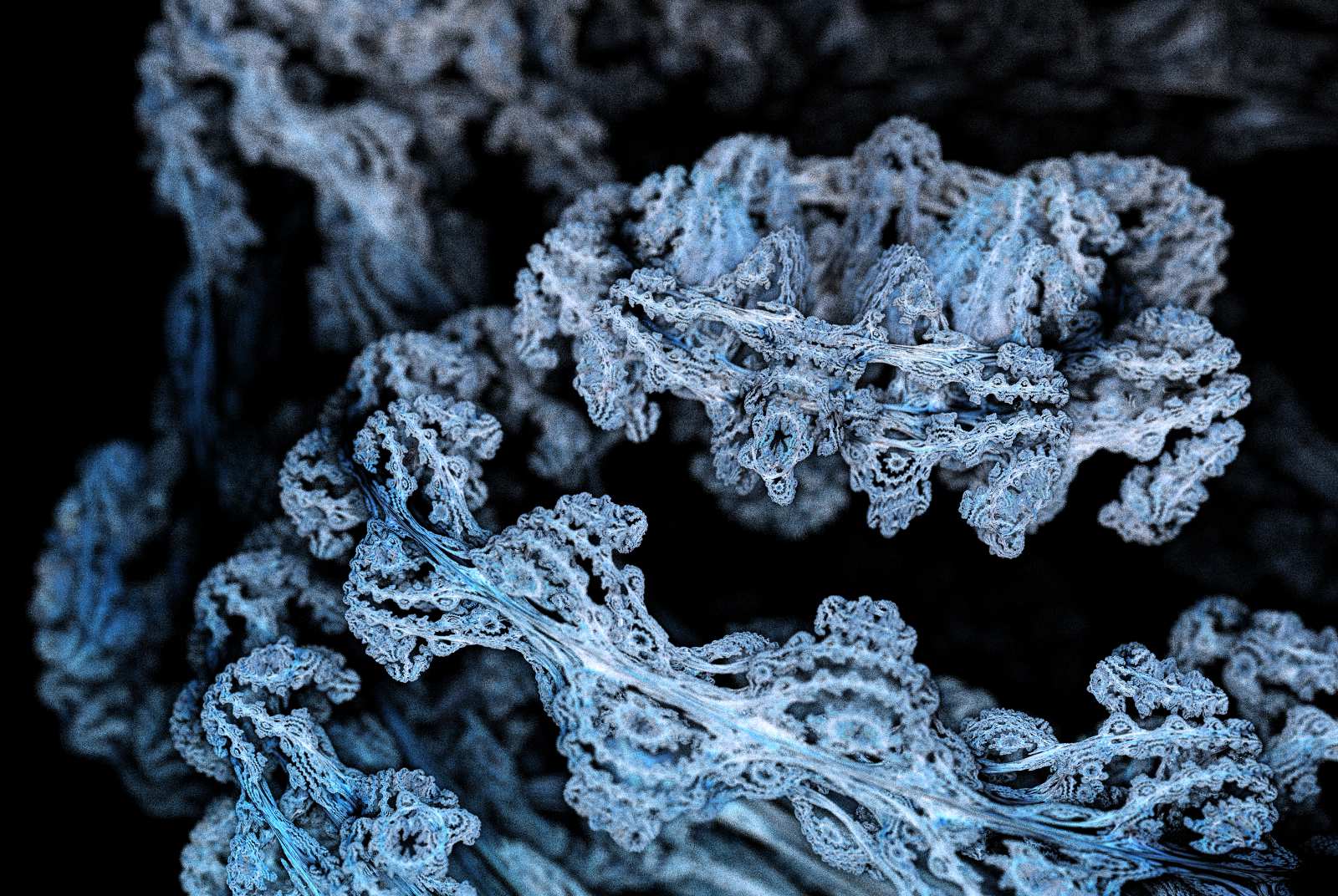 Close-up of the Juliabulb's middle ring.